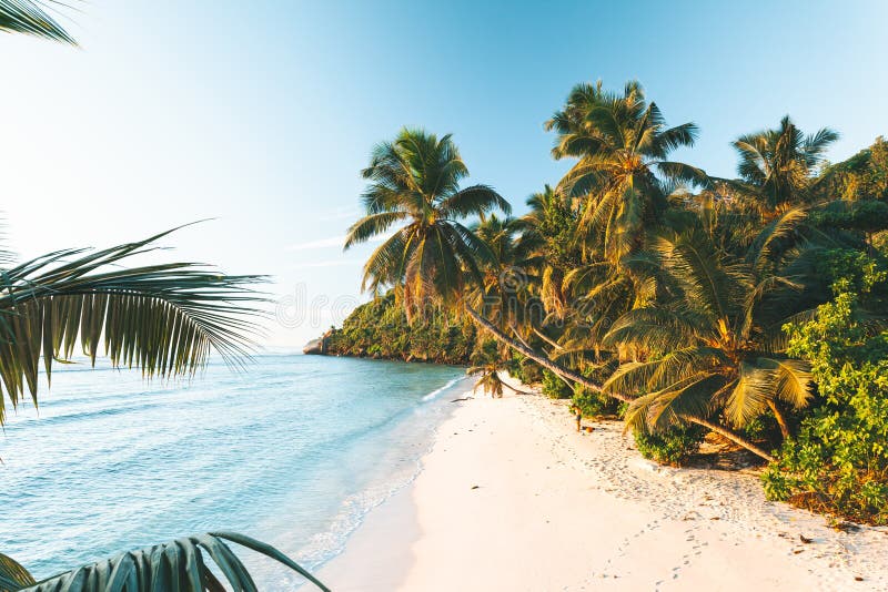Plage tropicale en Seychelles photos stock Plage tropicale en Seychelles photos stock