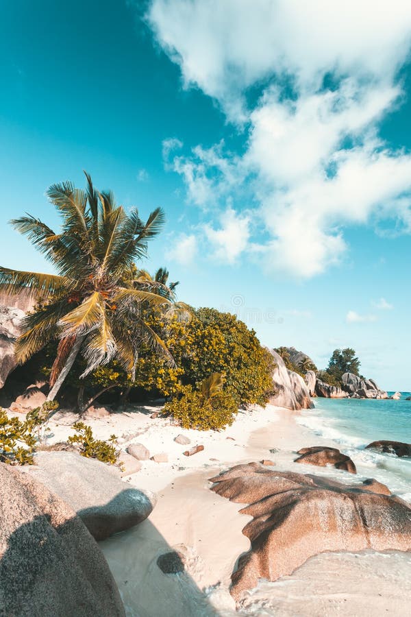Plage tropicale en Seychelles photo stock Plage tropicale en Seychelles photo stock