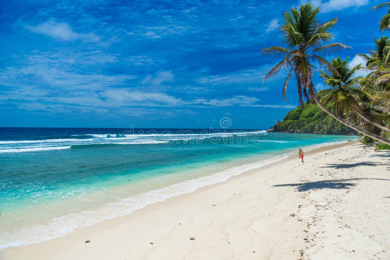 Plage tropicale en Seychelles, Mahe photo stock Plage tropicale en Seychelles, Mahe photo stock