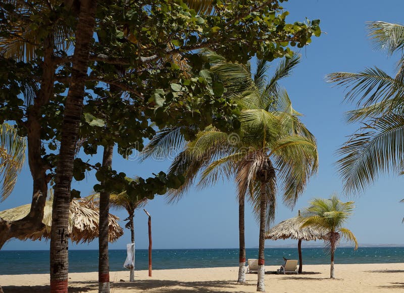 Plages des Caraïbes image stock Plages des Caraïbes image stock