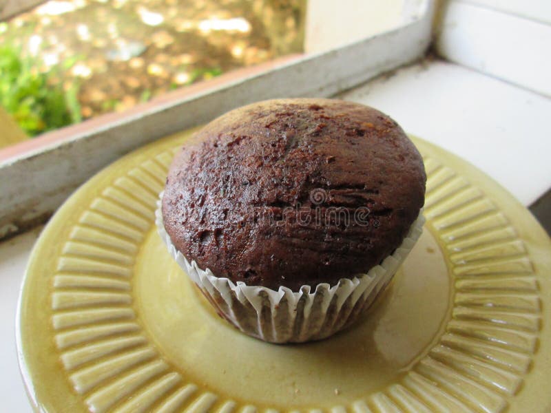 A Plain Brown Muffin in a Cup. Stock Image Image of cupcakes