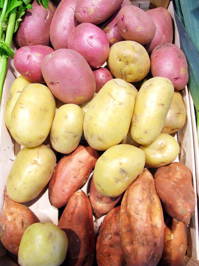 Plain Potatoes and Sweet Potatoes Stock Image Image of horizontal, gold 28121603