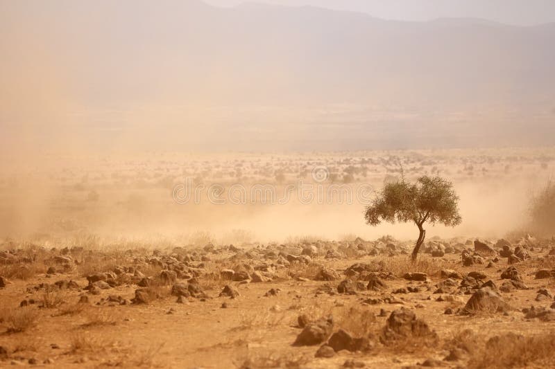 Dusty plains during a severe drought, Kenya. Dusty plains during a severe drought, Kenya