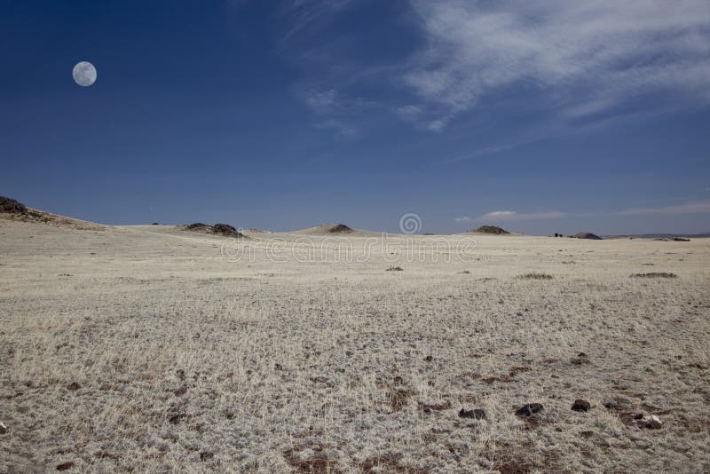 Plains of Northern New Mexico Stock Image Image of gila, grass 20714161
