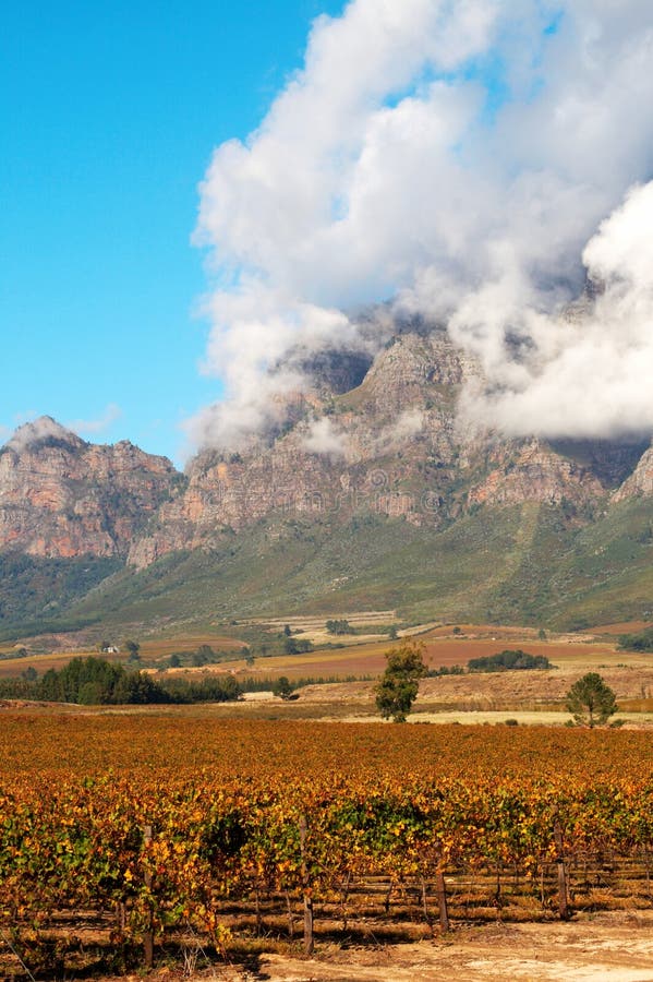 Plaisir de Merle wine farm