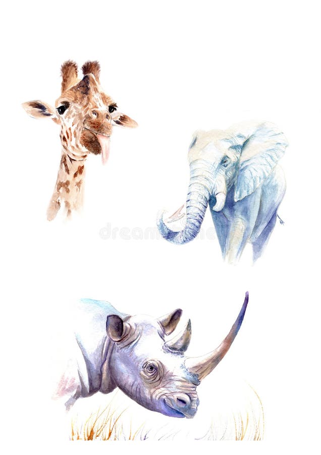 Plakat mit Aquarellzeichnungen Wilde Tiere: Elefant, Giraffe, Nashorn stock abbildung Plakat mit Aquarellzeichnungen Wilde Tiere: Elefant, Giraffe, Nashorn stock abbildung