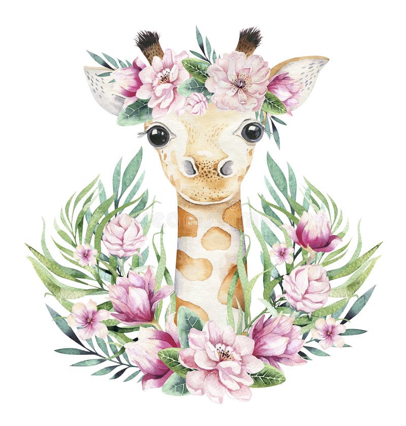Plakat z dziecko żyrafą Akwareli kreskówki giraffetropical zwierzęca ilustracja D?ungli lata egzotyczny druk