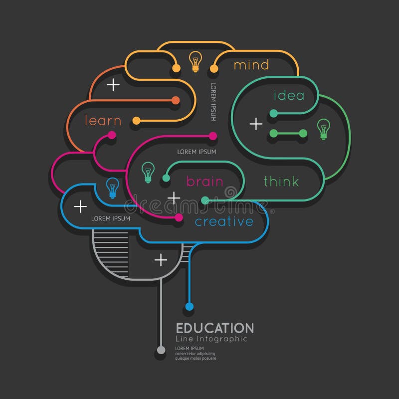 Plan linjär Infographic utbildningsöversikt Brain Concept vektor royaltyfri illustrationer Plan linjär Infographic utbildningsöversikt Brain Concept vektor royaltyfri illustrationer