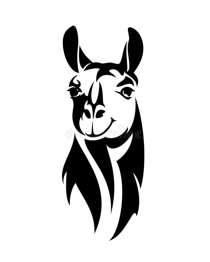 Plan noir et blanc de vecteur de portrait principal de lama