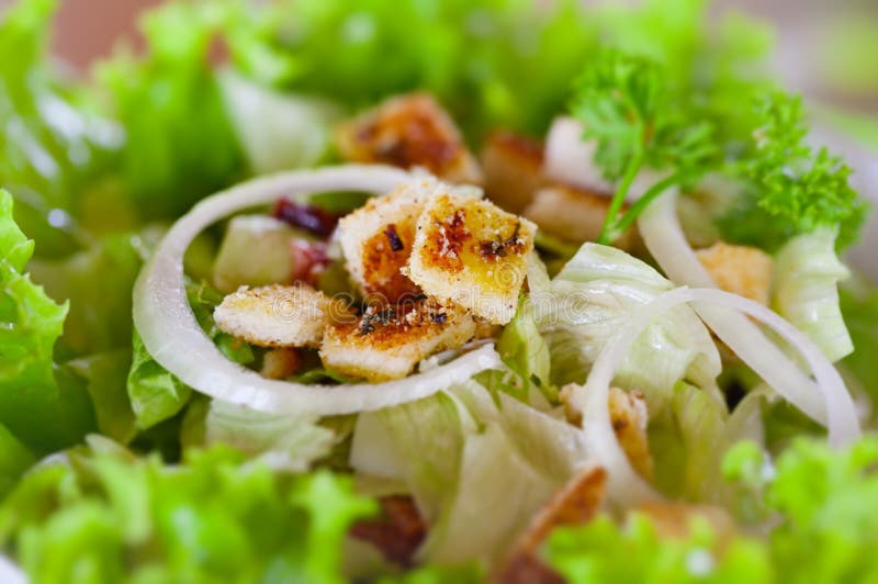 Plan rapproché de salade de César photographie stock