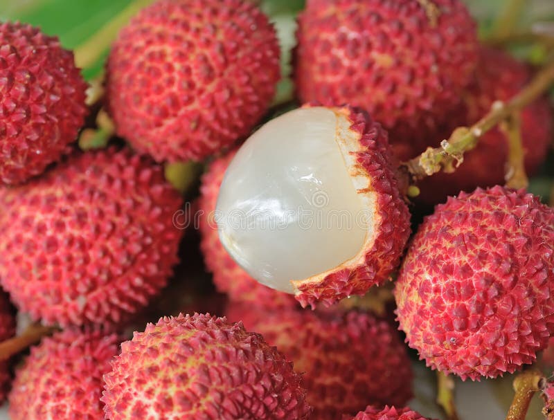Fruits De Litchi Photos Stock Téléchargez 2,399 Photos libres de droits