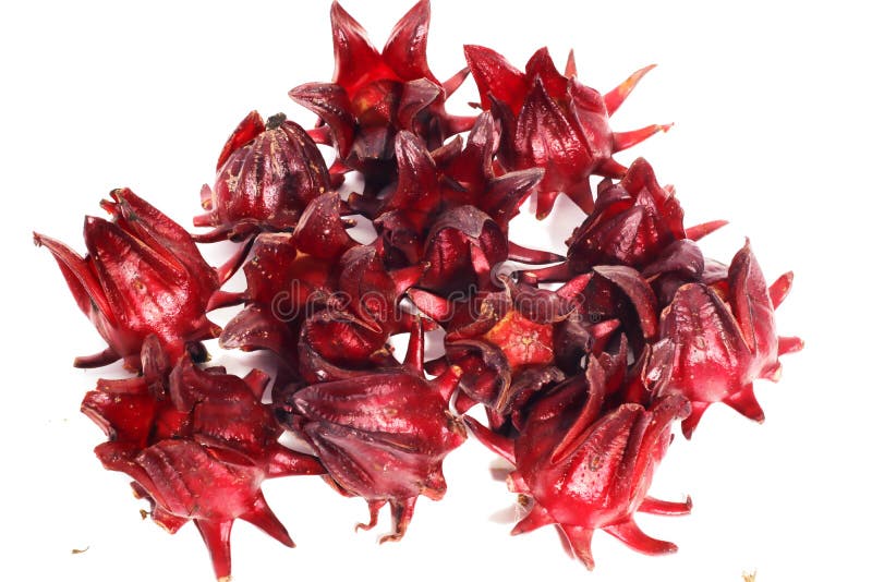 Plan rapproché des fruits de Roselle de groupe d'isolement sur le fond blanc photo libre de droits Plan rapproché des fruits de Roselle de groupe d'isolement sur le fond blanc photo libre de droits