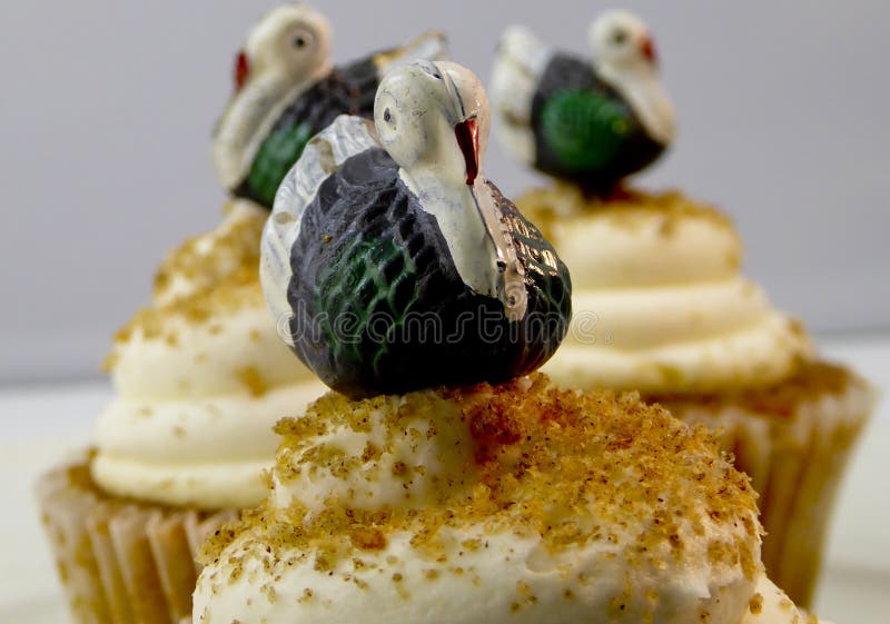 Plan rapproché des petits gâteaux de dinde photographie stock libre de droits Plan rapproché des petits gâteaux de dinde photographie stock libre de droits