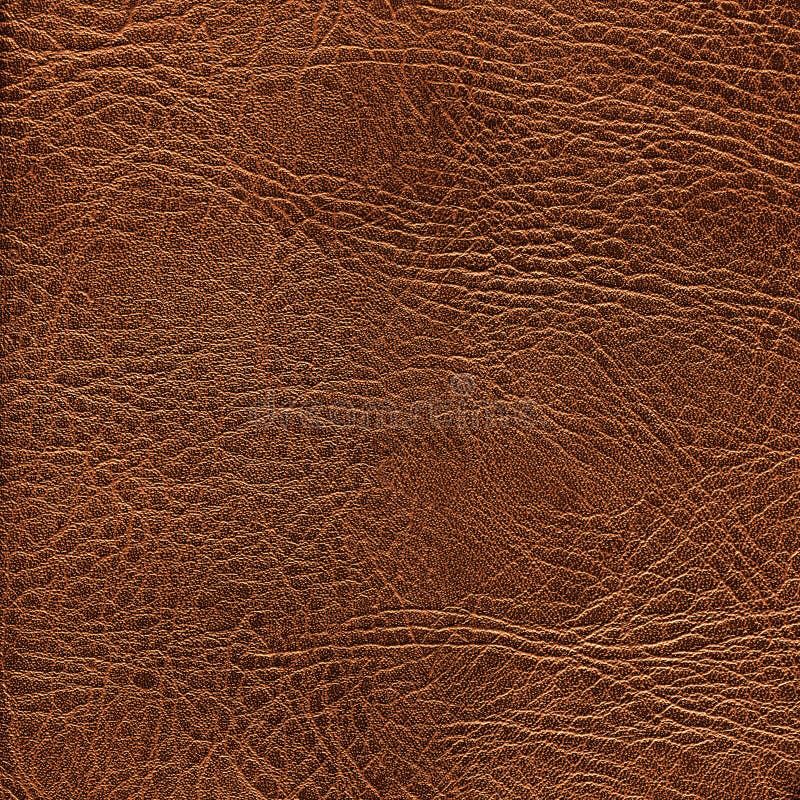 Texture en cuir de Brown