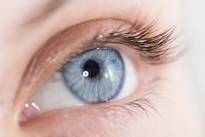 Plan rapproché tiré d'un bel oeil de femme photo stock Plan rapproché tiré d'un bel oeil de femme photo stock