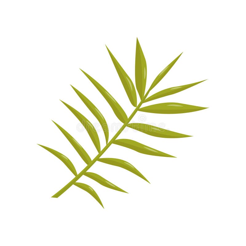 Plan vektorsymbol av den tunna stjälk med små sidor Ljust - grön tropisk växt Botaniskt tema Beståndsdel för reklamblad eller vektor illustrationer Plan vektorsymbol av den tunna stjälk med små sidor Ljust - grön tropisk växt Botaniskt tema Beståndsdel för reklamblad eller vektor illustrationer