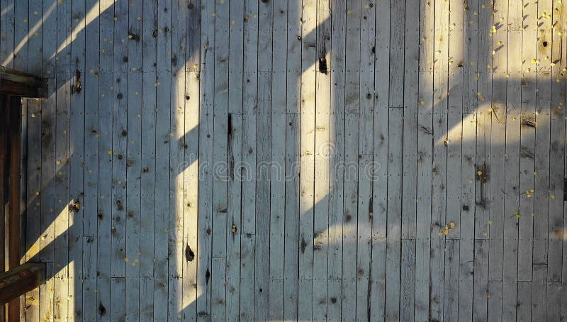 Plancher en bois extérieur avec des feuilles image libre de droits Plancher en bois extérieur avec des feuilles image libre de droits