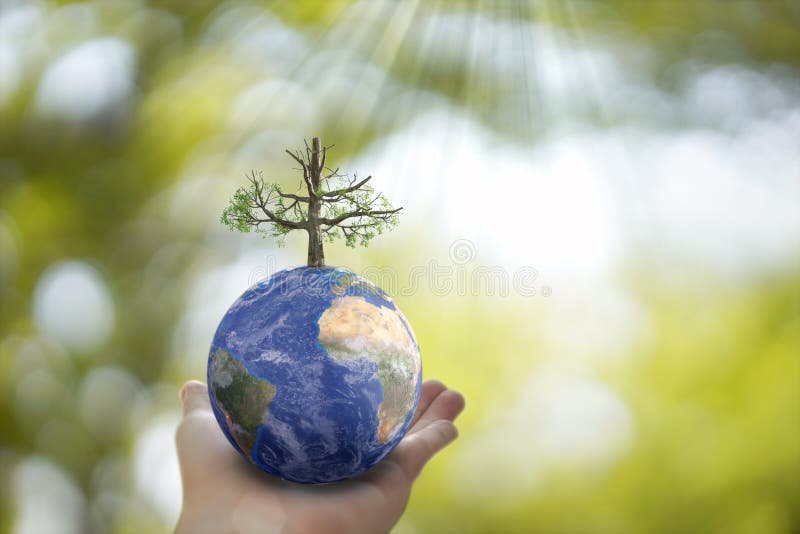 Plane Earth globe ball and growing tree in human hand on green sunny background. royalty free illustration Plane Earth globe ball and growing tree in human hand on green sunny background. royalty free illustration
