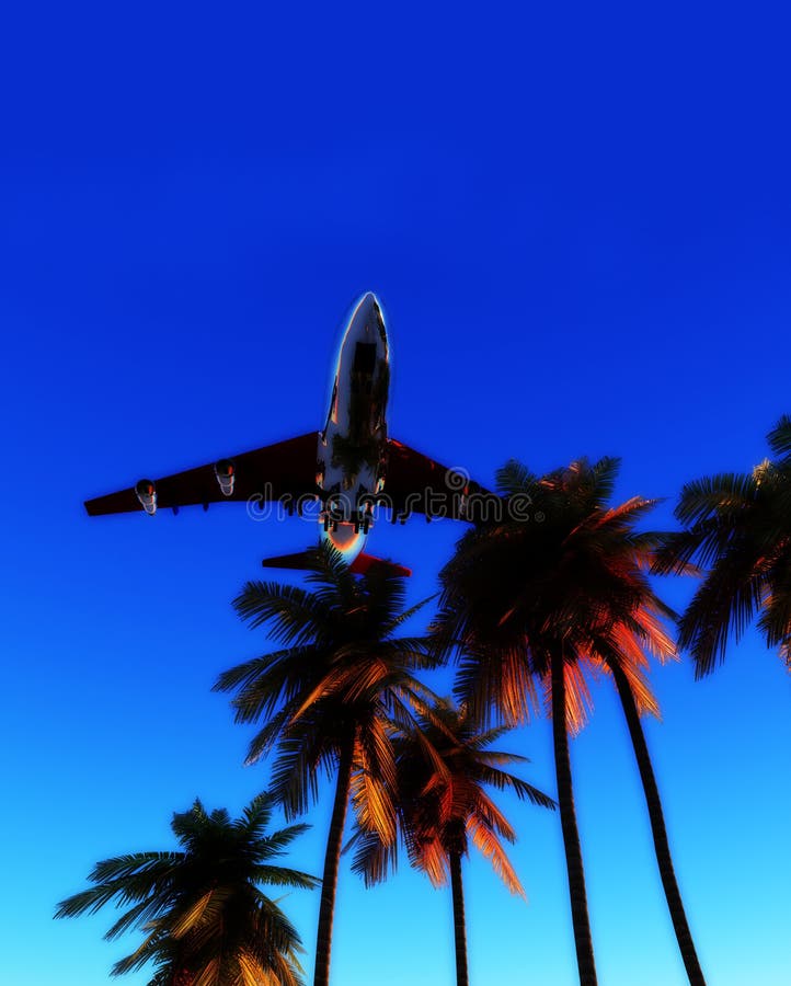 Plane And Wild Palms 6