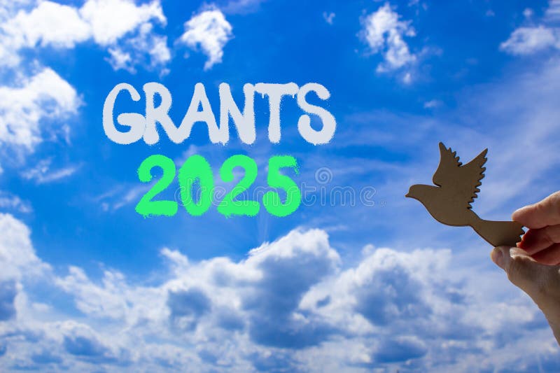 Planeringsbidrag 2025 ny årskod. Konceptord ger 2025 ett vackert blått skum. vacker blå himmelmolnbakgrund. hand med träfågel. företagsbidrag 2025. kopieringsutrymme
