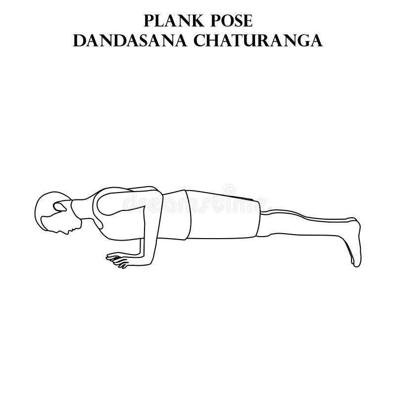 Woman doing Low plank pose Chaturanga dandasana exercise. Flat vector  illustration isolated on white background 7745834 Vector Art at Vecteezy