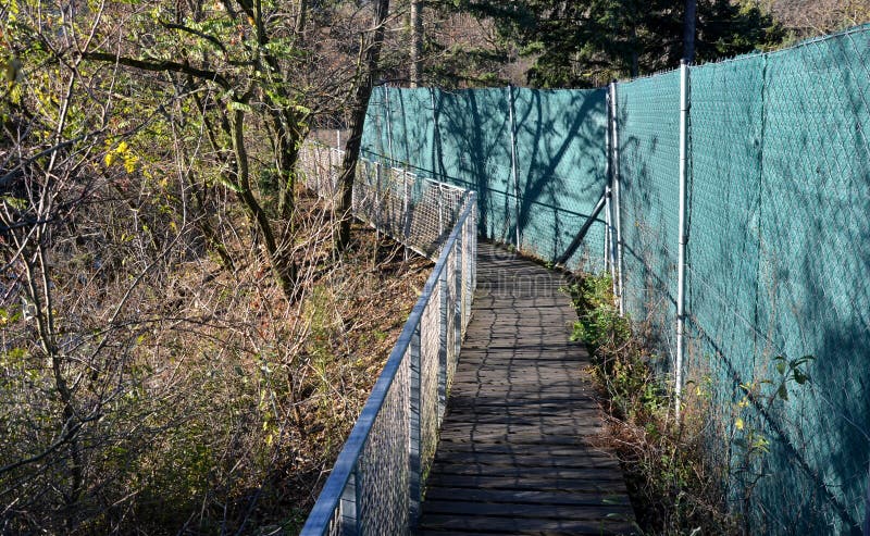 https://thumbs.dreamstime.com/b/plank-walkway-stainless-steel-railings-leads-around-lake-rare-ducks-fence-panel-made-rope-fishing-net-235549342.jpg