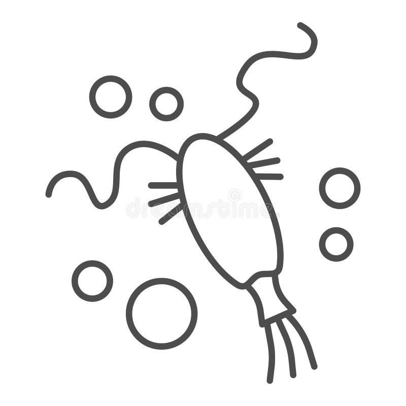 Featured image of post Ocean Plankton Clipart Plankton are a group of marine and freshwater organisms that drift along ocean currents because they are too small or weak to swim against them