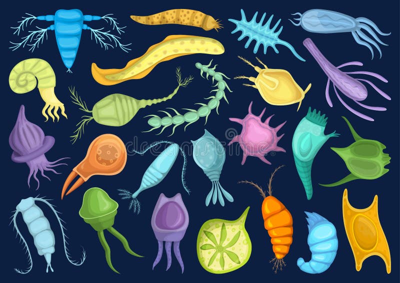 Featured image of post Clipart Phytoplankton Plankton Feel free to download share and use them