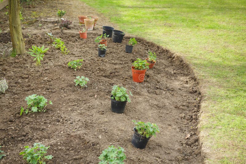 Preparing a flower bed stock photo. Image of cultivation 129684290