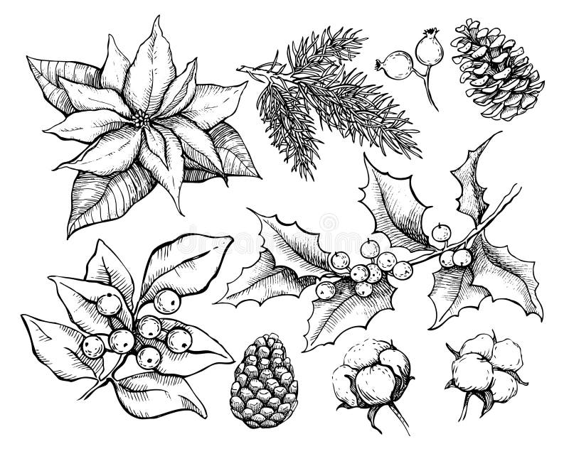 Plans traditionnels de Noël Illustration de dessin de vecteur de HOL illustration stock