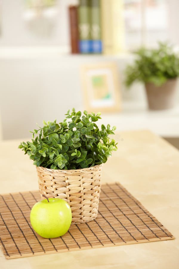 Plant and apple on table
