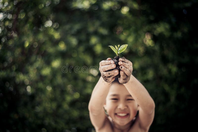 Plant in boy hand stock image Plant in boy hand stock image