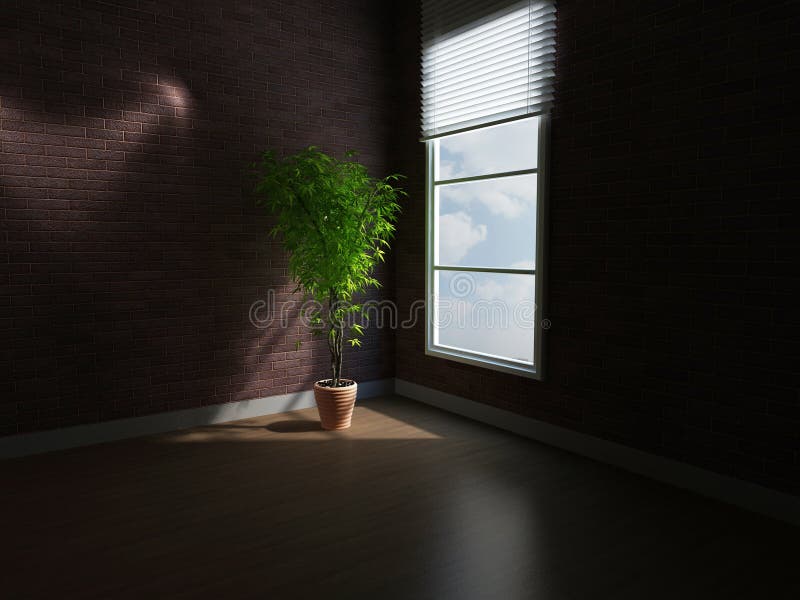 A plant in a dark room stock illustration. Illustration of room 48436538