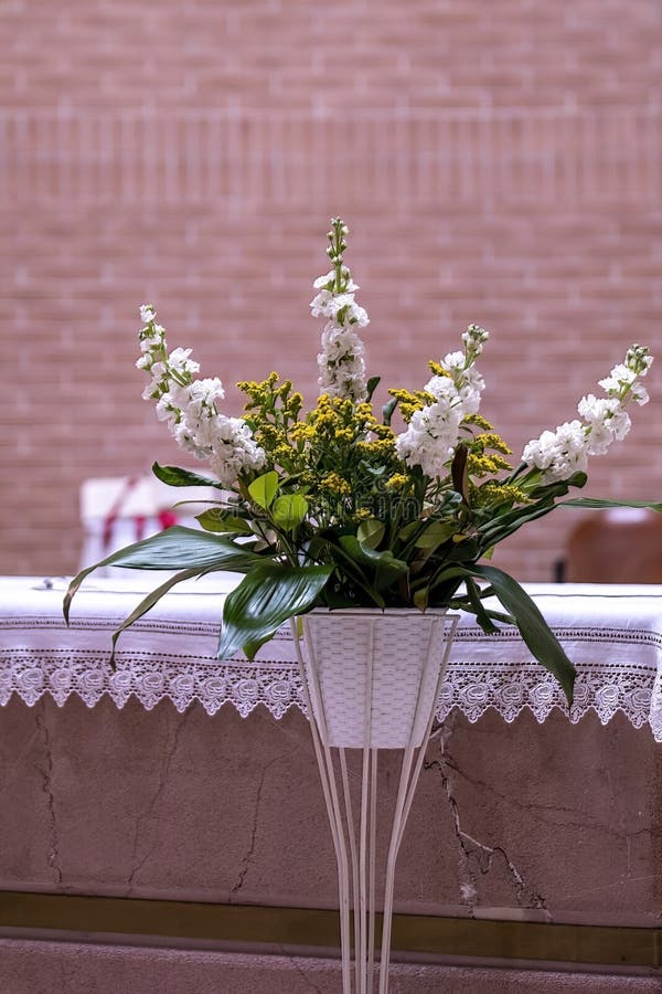 Plant Flowers in Church Decorations for Baptism Stock Photo Image of