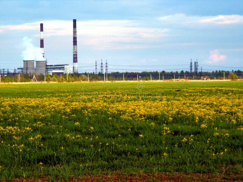 Plant and green field stock photo. Image of electric 49821884