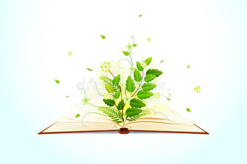 Plant growing on Open Book royalty free illustration