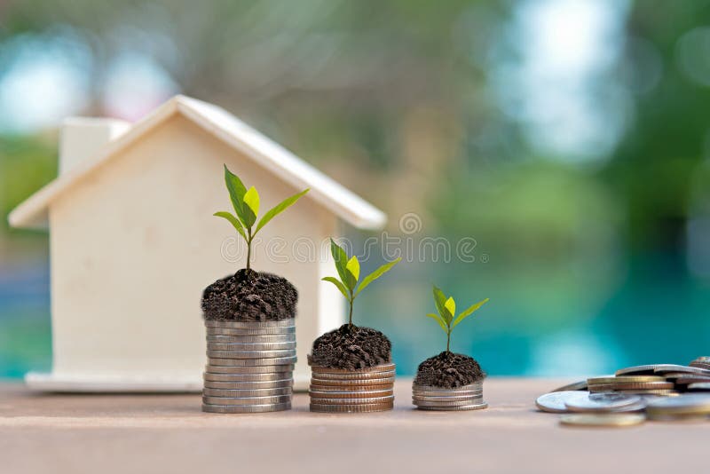 Plant Growing In Savings Coins. Money coin stack growing graph for the Real Estate business. royalty free stock photography Plant Growing In Savings Coins. Money coin stack growing graph for the Real Estate business. royalty free stock photography