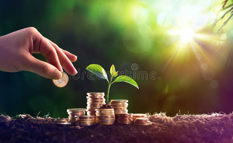 Plant Growing In Savings Coins Money stock photo Plant Growing In Savings Coins Money stock photo