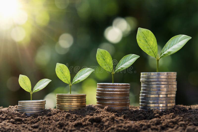 Plant growing step on coins. concept finance stock photography
