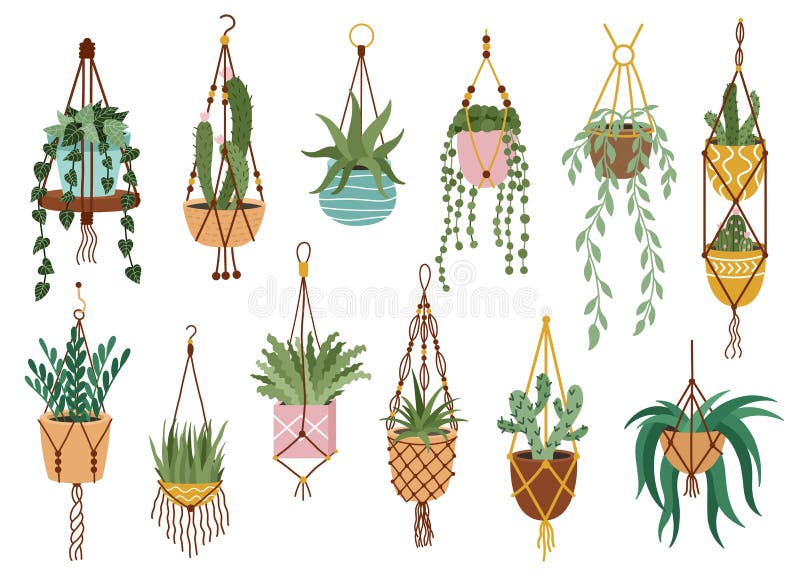Featured image of post Hanging House Plant Clipart Hanging crocheted plant hangers knitted plant hangers fabric indoor plant decor indoor home decor
