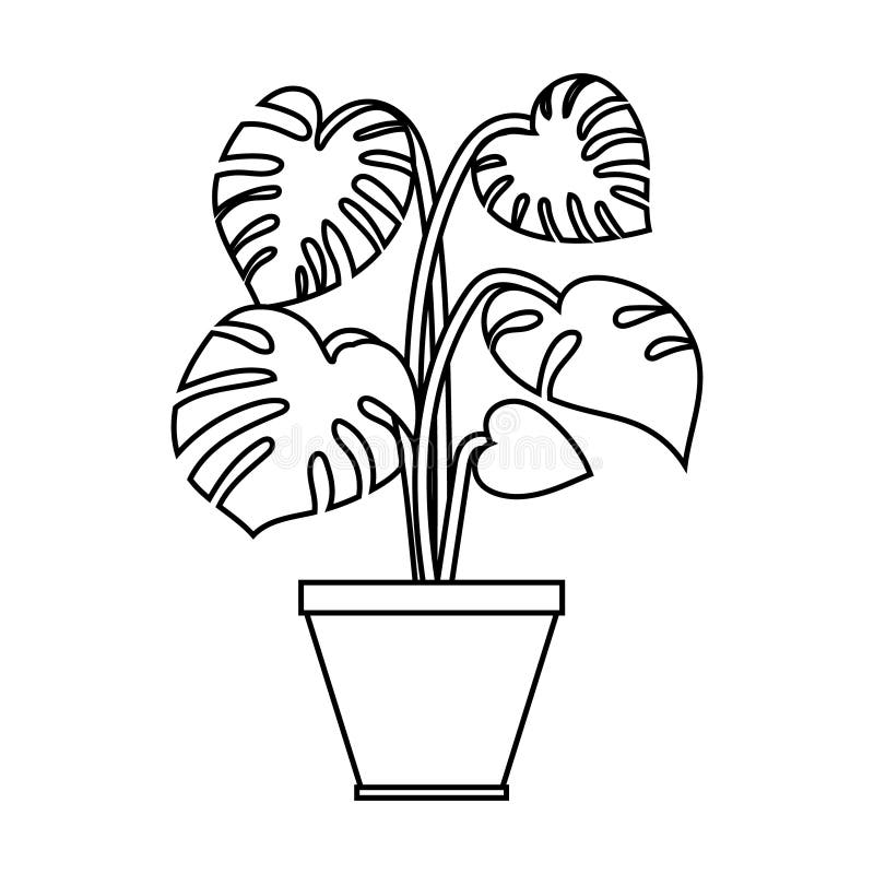 Plant Icon Vector Set. Garden Illustration Sign Collection. Grower ...