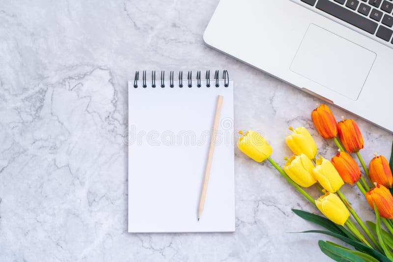 Plant lekmanna- foto av workspace Åtlöje för bästa sikt upp anteckningsböcker, flowwe arkivbilder Plant lekmanna- foto av workspace Åtlöje för bästa sikt upp anteckningsböcker, flowwe arkivbilder
