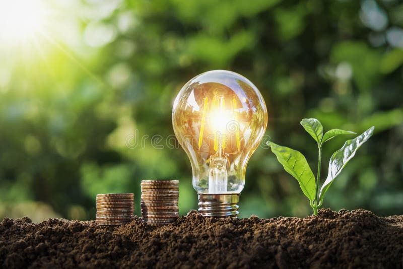 Plant with light bulb and money stack growing on soil with sunshine. concept saving stock photos