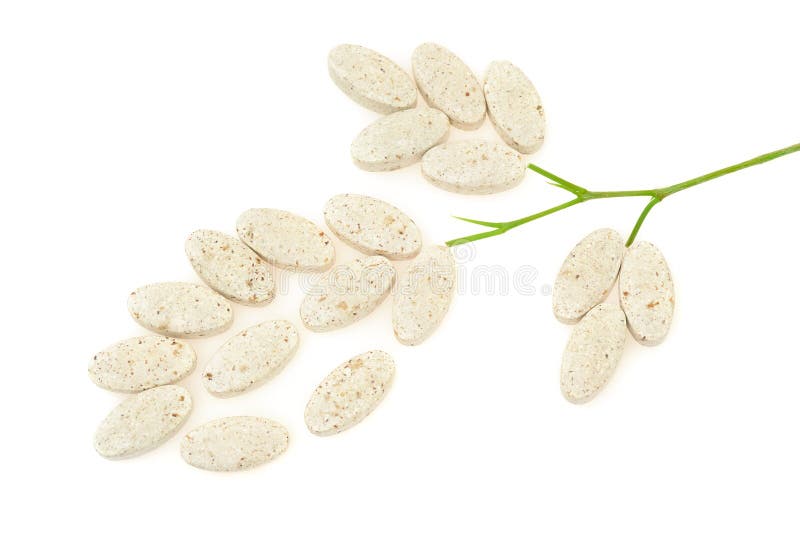 Plant made up of pills - alternative medicine concept. Green herbal drug medicine stock images, royalty-free photos and pictures