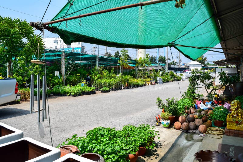 Plant market in thailand editorial photo. Image of yard 61837446
