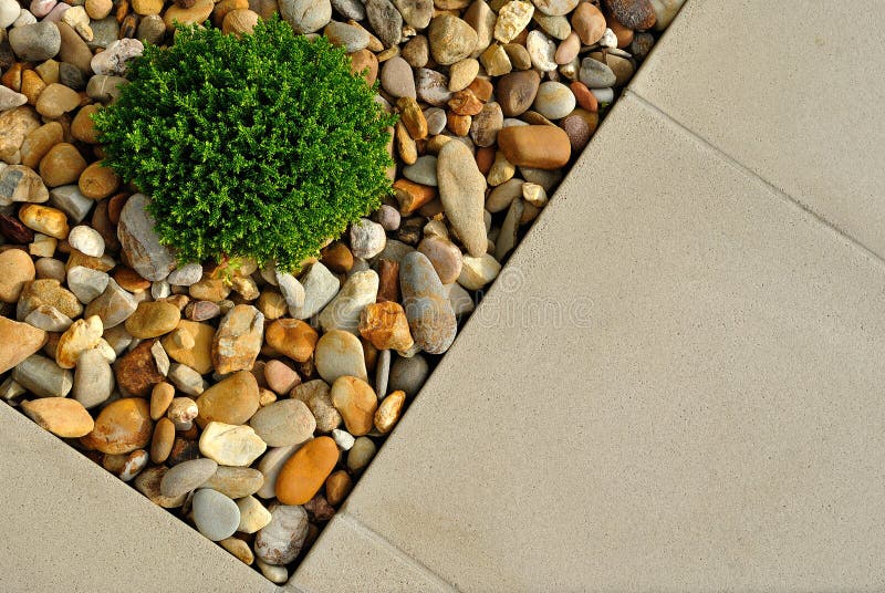 Plant, pebbles and paving texture