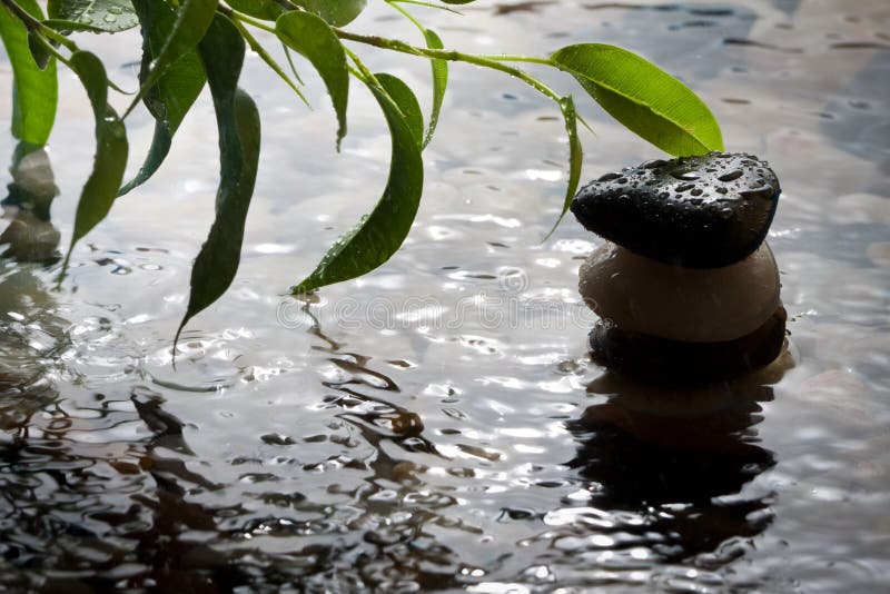 Plant and pebbles with waterdrop and ripples