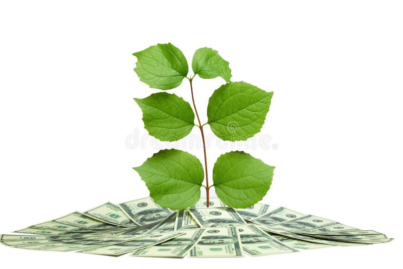 Plant in pile of money