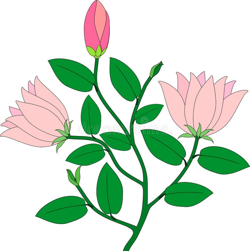 My Image 24