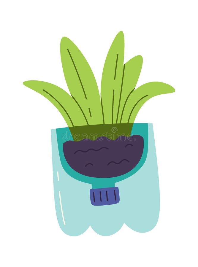 Plant In Plastic Bottle Stock Vector Illustration Of Bottle 275430801 ten-easy-to-grow-indoor-plants-that-can-brighten-up-your-space